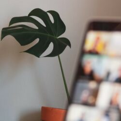 Pythonエンジニア資格試験8種を解説 難易度やメリットは？